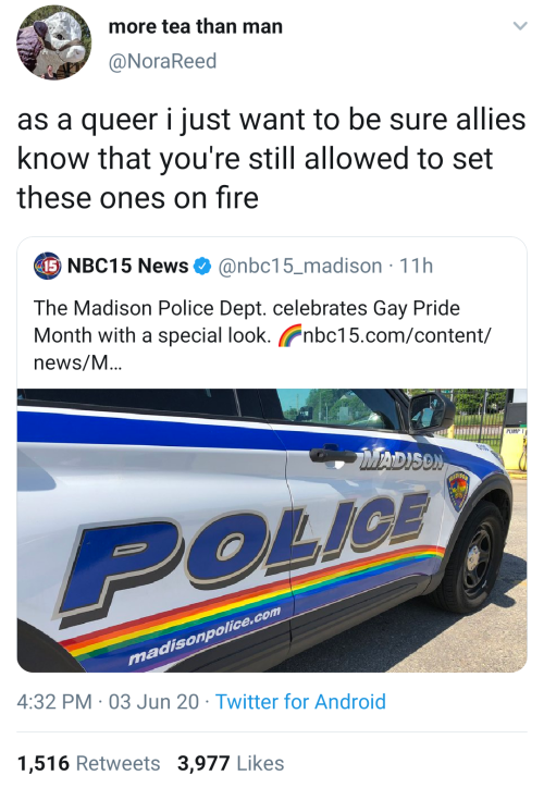 a-grim-grinning-ghost:gay-irl:gayirlI LITERALLY NEVER WANT TO SEE COPS AT PRIDE AGAIN