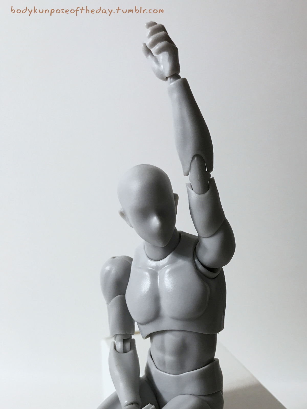 Body chan/kun Pose Models Review 