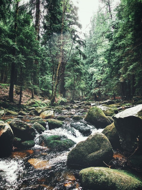 zilvinasdegutis:Green river