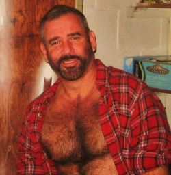 alpha98011:  NSFW FETISH FUN ARCHIVE  Bear dad.