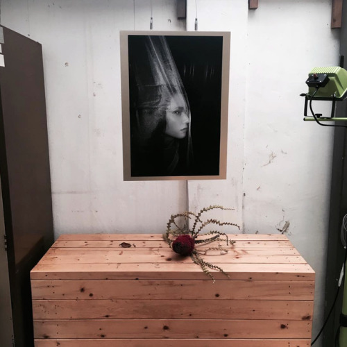 ‘I Don’t Wanna Love You’  Exhibition 