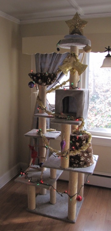 One way to solve cats vs Christmas tree problem.