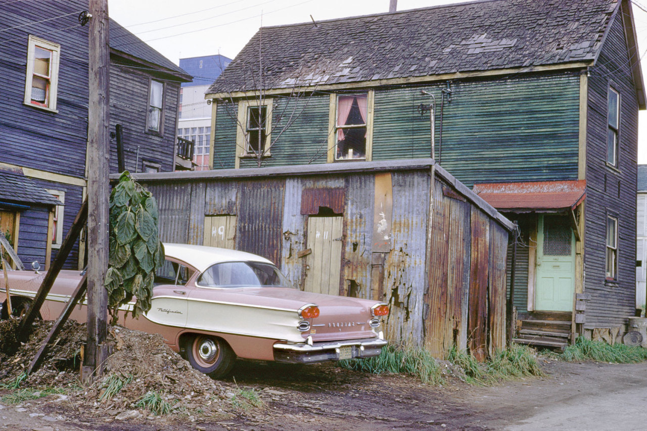 h-r-y-h-o-r-i-y-y:  cascade-collective:  Fred Herzog  these are so good!