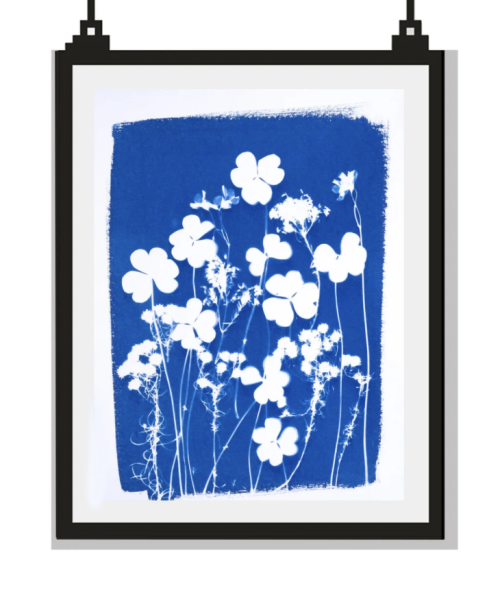 Botanical cyanotype by LaNautile