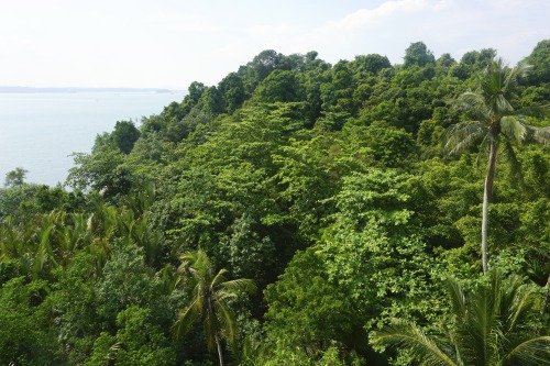 postcardsfromsarah: Pulau Ubin, Singapore