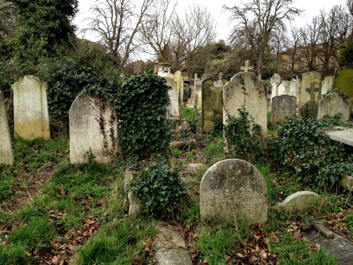 spookyloop:  spookyloop:  Couldn’t resist taking some photos on my morning stroll through the West Brompton cemetery. (London, UK, February 2 2014) Please do not delete this caption, or edit/use my photos without my permission.  I miss this place so