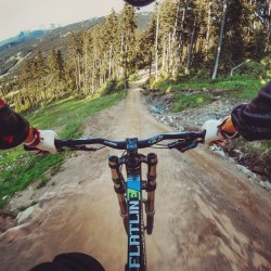 abekislevitz:  More fun in Whistler // #gopro