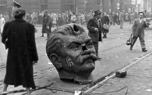 historicaltimes:  The decapitated head of the hated Joseph Stalin statue during the Hungarian Revolution of 1956 videki_man:  Fun fact: after the revolution, only the boots of the statue remained, the rest was destroyed. Its copy made of bronze can be