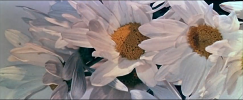 bleedhoney:‘My Fair Lady’ opening titles