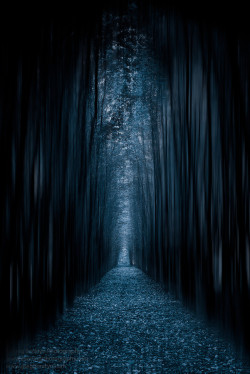 sapphire1707:  The Dark Way In by GreggB