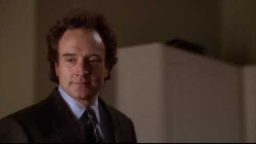 evelynbakerlang:decentsizedwhoop:if josh lyman were a sheep he’d be this one#before I watched 