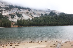 wild-nirvana:  nuhstalgicsoul:  Yosemite, you take my breath away every single time.  + 
