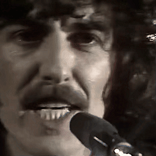 George Harrison (1977) 