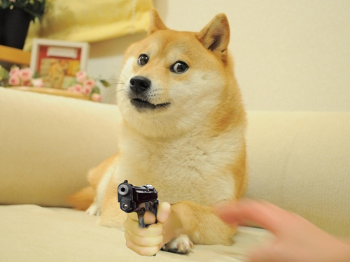 bring back doge meme 2014