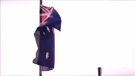 celer-et-audax:  Australian Special Forces: SASR &amp; Commando Regiment