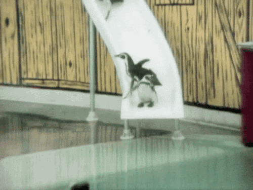 gameraboy:  Having a bad day? Please enjoy these penguins on a water slide! 