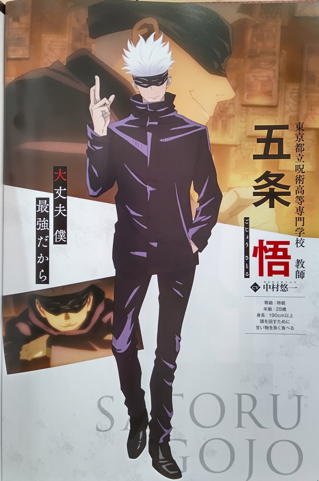 Stuff Jujutsu Kaisen Guidebook For The Anime Cover And