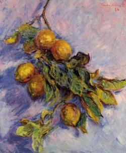 artist-monet:  Branch of Lemons, 1884, Claude