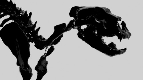 Lioness 3D Scan #1 