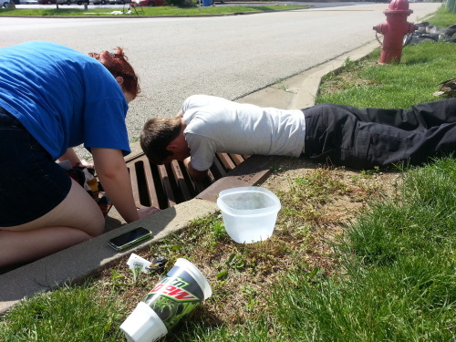 sweet-bitsy:  breanieswordvomit:  caffeinated-zombie:  So, in the middle of everything today, we ran across a hellaciously distressed momma mallard and a bunch of her baby ducks that had fallen down a sewer grate. Another guy was already trying to fish