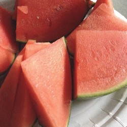 delish 🍉