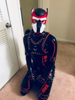 caverpup:  And just like that, a rubber pup was born, with the wonderful @pup-tai to capture the moment:) Arooooo!