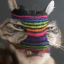 cat1ramen2noodle