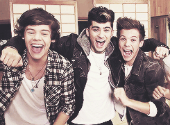     "I'd take Zayn for the day, and I'd take Harry for the night."              