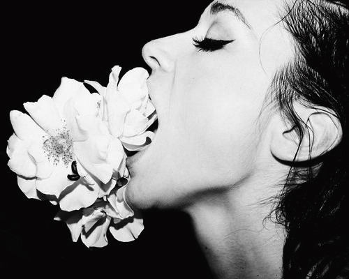 :  Crystal Reed photographed by Tyler Shields (2012) 