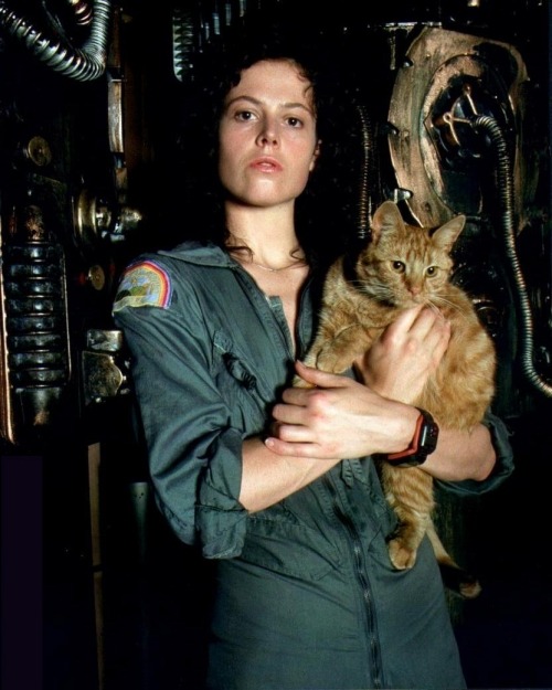 imnotanothersoulforsale:  bowiesclockworkorange:  Actress Sigourney Weaver with cat