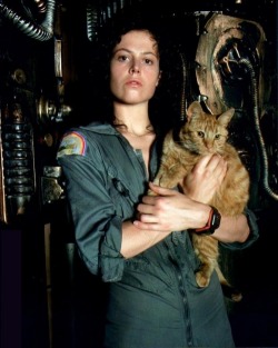imnotanothersoulforsale:  bowiesclockworkorange:  Actress Sigourney Weaver with cat as character in Alien (1979)  &lt;3  