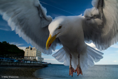 That’s a little too close!!Taken at 18mm on a Nikon D5200