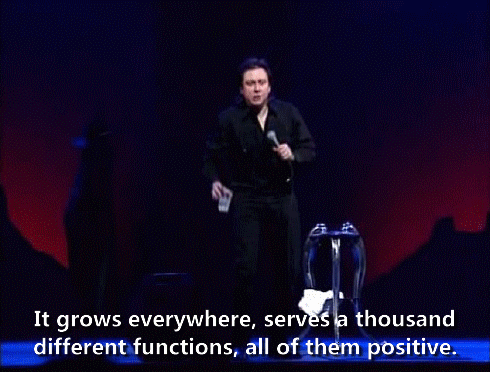 inthemiddlewedance:“You know what I mean? It’s nature. How do you make nature against the fucking la