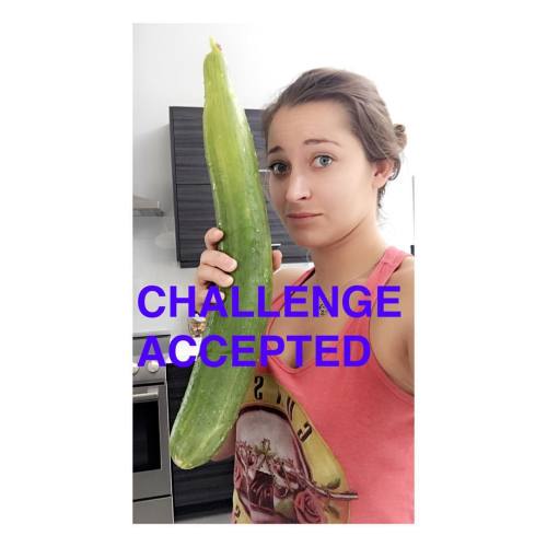 missdanidaniels: - growing giant cucumbers.