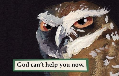 Hozier Songs As Troubled Bird Memes