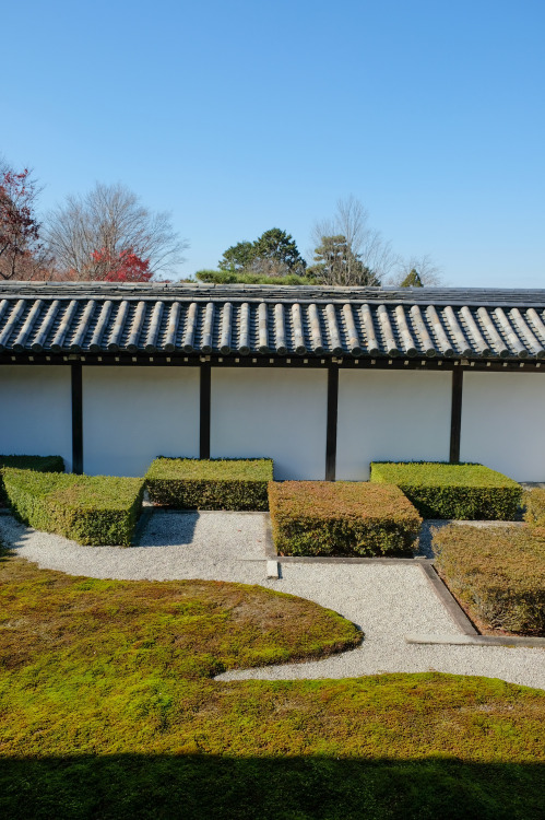  Tofukuji .Kyoto (2020)東福寺 京都市東山区