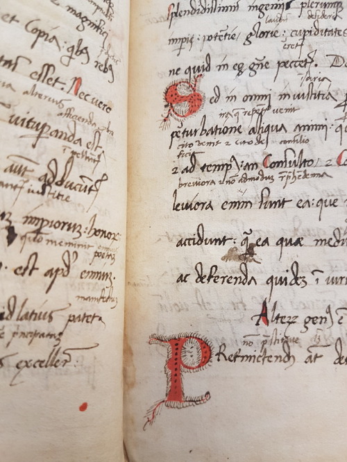 LJS 385 - [School miscellany] Are you getting ready for the Summer Term?This is a collection of clas