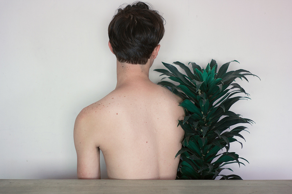 losed:  Faber Franco