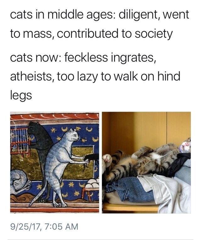 Heaux Patrol