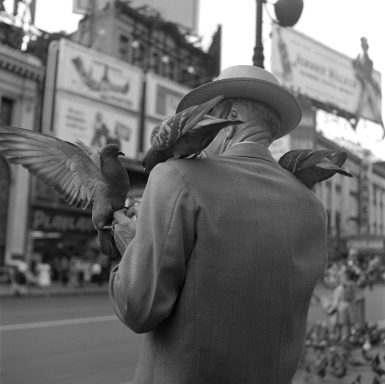 killerbeesting:  Vivian Maier