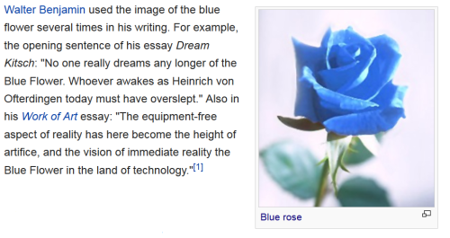 Kind of crazy that I slept through the entire 20th century and have been waking up from the Blue Flo