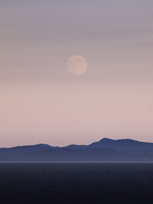 moonandspheres:  Moonrise by Nicholas D. Yee