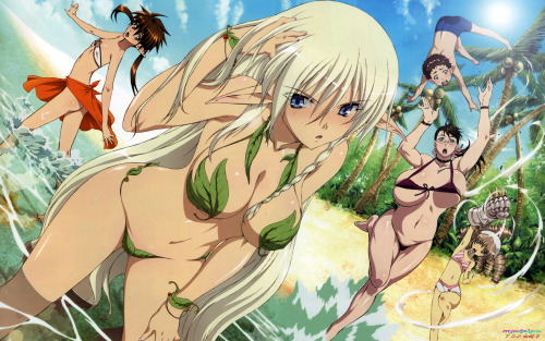 geekearth:  Queen’s Blade Beach 