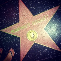 #humphreybogart