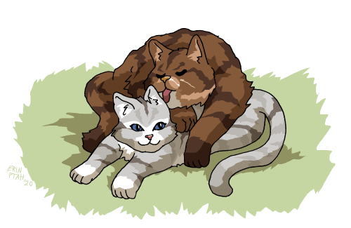 Problematic ships project: Hawkfrost x Ivypool. (Cat shipping continues to be serious business.)