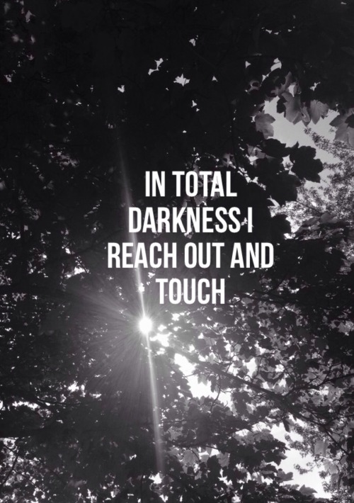 flowersivan:  Touch ~ Troye Sivan