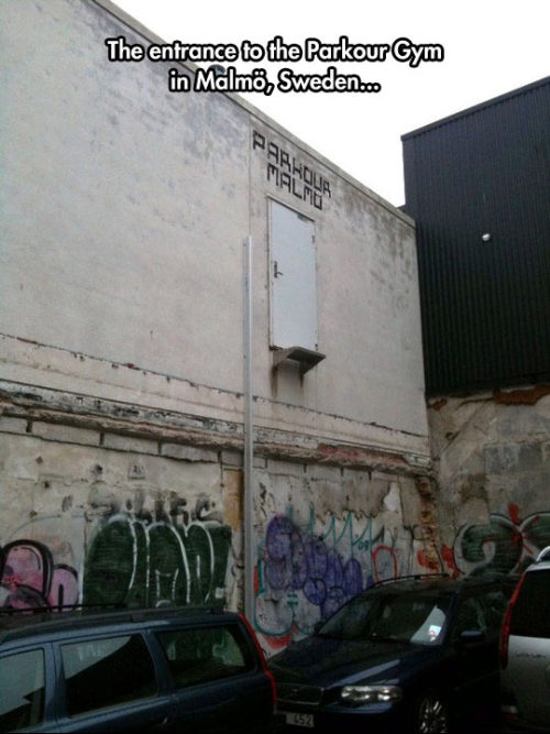 srsfunny:  Parkour Gymhttp://srsfunny.tumblr.com/  Heh.