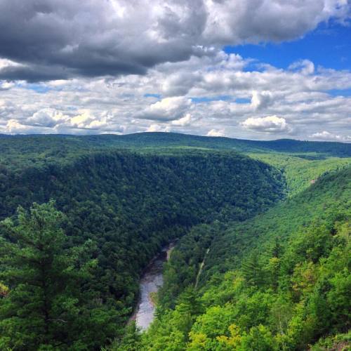 PA Grand Canyon for work today… Can’t complain! #explore #PA #pastateparks #landscape #