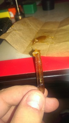 dabman-and-globin:  andrewmoerder:  dabman-and-globin:Dab of sap on the end of a stick of absolute shatter. wavy.  &ldquo;Hold up I’m just about to take this dab and then dab my whole fucking dabber&rdquo;  Those sticks are epic. No need for tools as