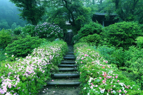 tsukarikata: 桜公園